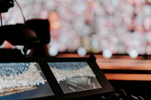 SEPLP vadītāja: Krievu valoda sabiedriskajā medijā, visticamāk, nebūs mūžīgi